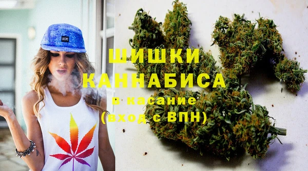 дмт Алзамай